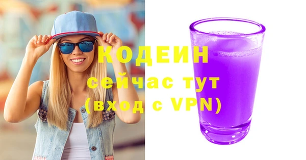 прущий лед Алзамай