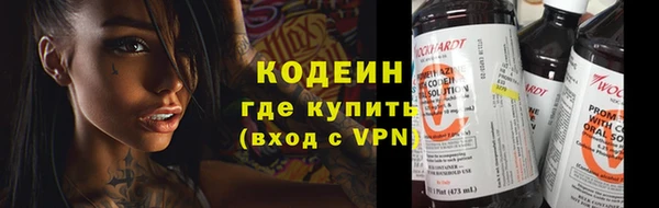 прущий лед Алзамай