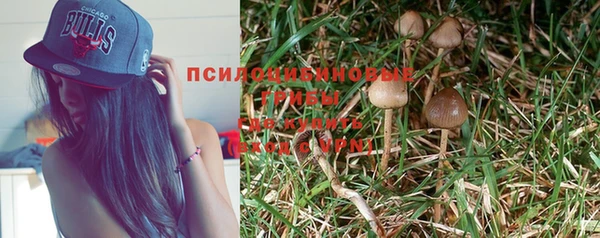 твердый Алексеевка