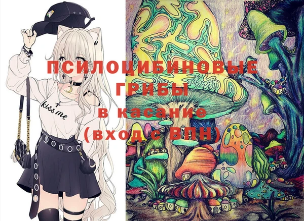прущий лед Алзамай